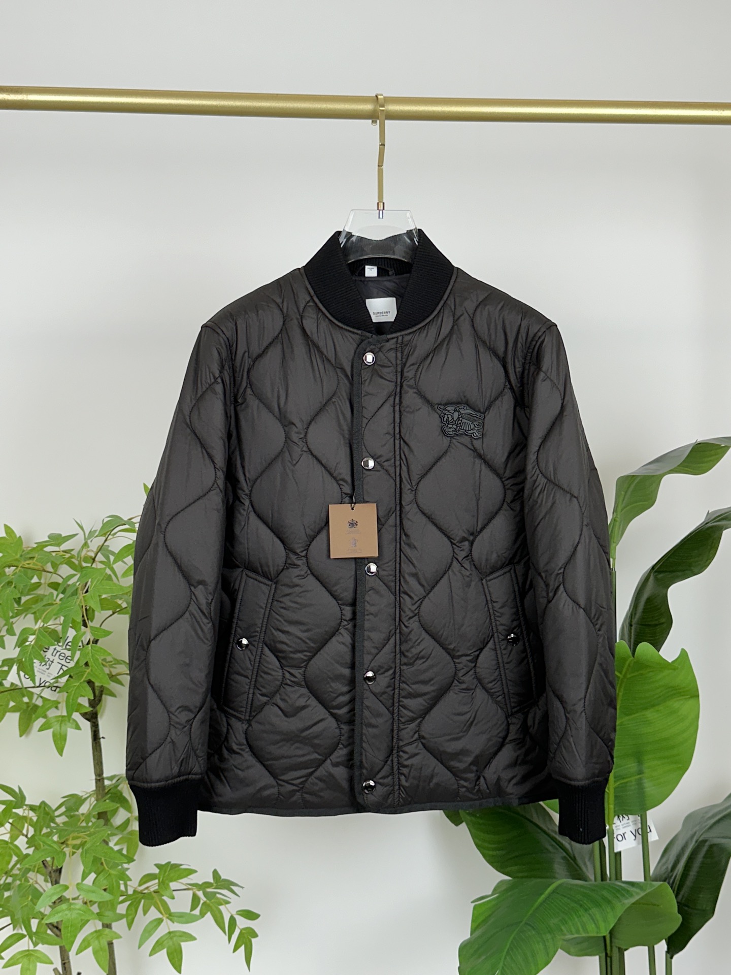 Burberry Down Jackets